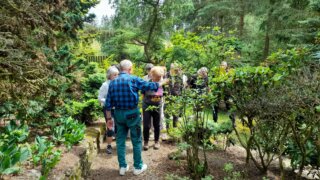 Okrasné zahradnictví a miniarboretum / 7