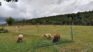 Od Hromnického jezírka k farmě Hájenka / 18