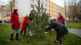 Rozsvícení vánočního TOTEMového stromku – kouzelný podvečer plný radosti / 8